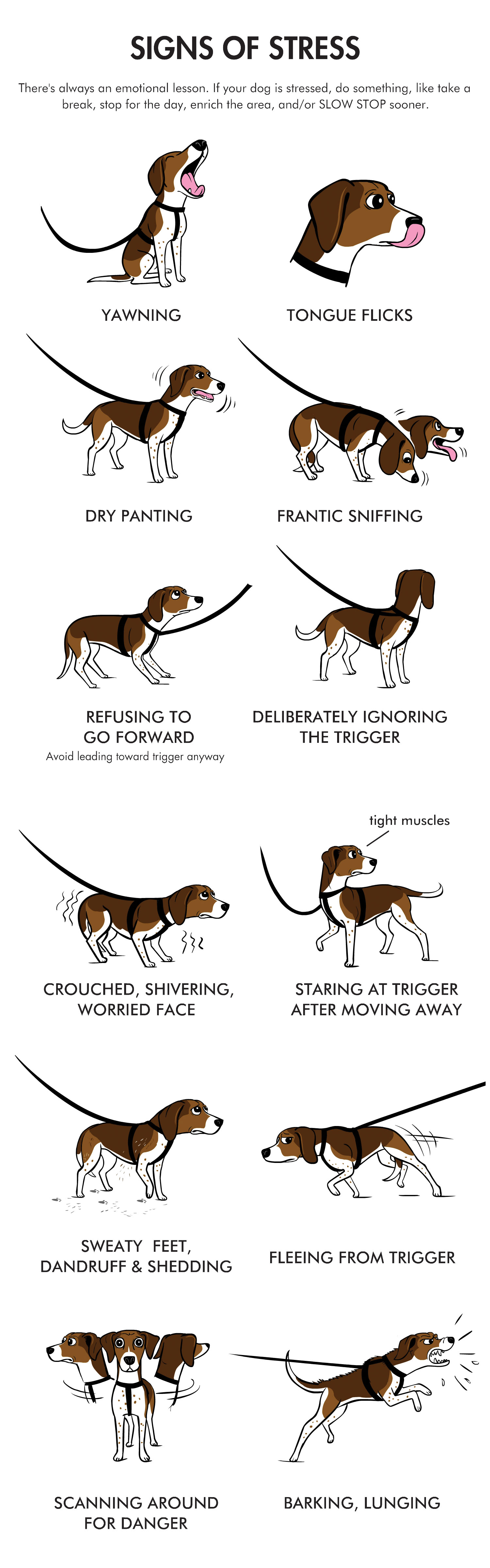 Dog Reactivity Chart