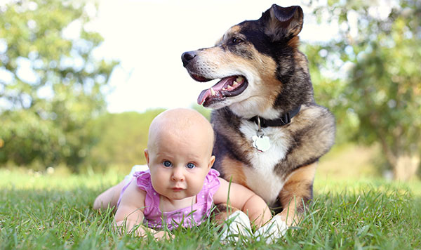 28 HQ Pictures Dog Hair And Babies : 20 Of The Cutest Pictures Of Dogs And Babies On The Internet.