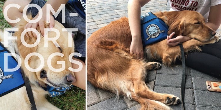 Left: Tobias comforts a child in Parkland, Florida. Right: Sasha supporting a grieving student with her gentle presence.